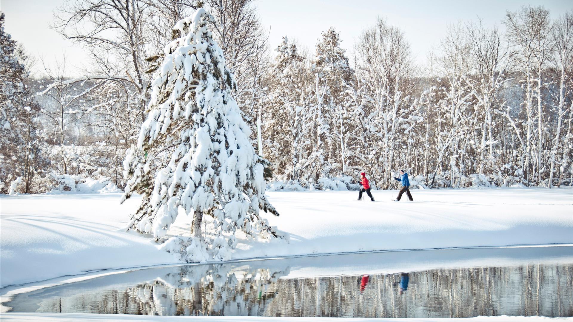 WINTER ACTIVITIES NEAR TRAVERSE CITY, MI