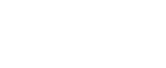 Grand Traverse x Detriot Lions Logo