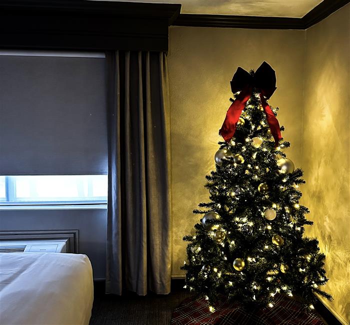 Festive Tree in Your Room